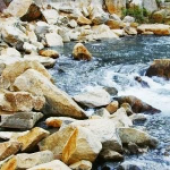 Ομάδες Mindfulness