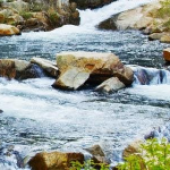 Ομάδες Mindfulness